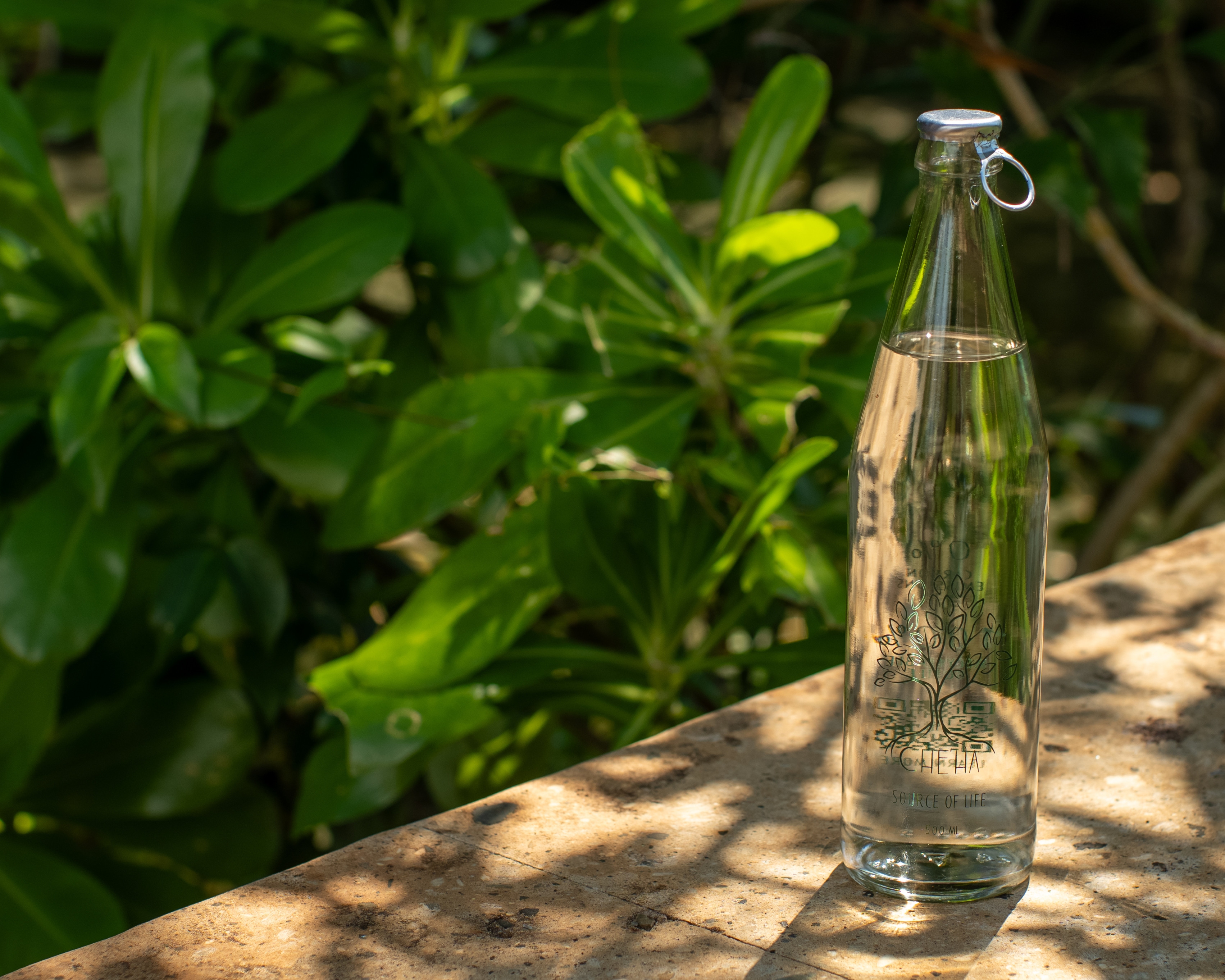 BTMXMY_Botella_Che_Ha_low