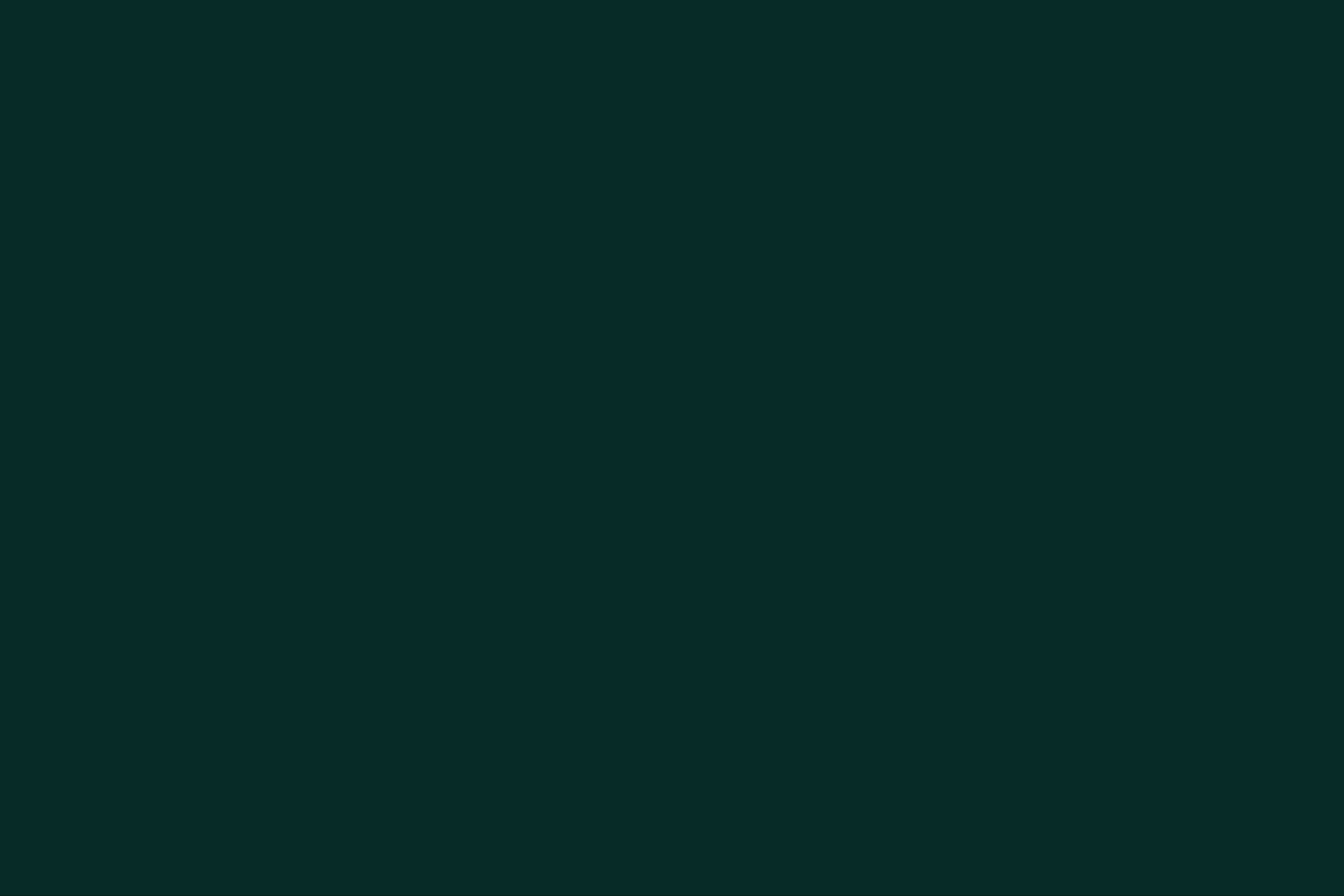 BTMXMY_SOLID_BACKGROUND