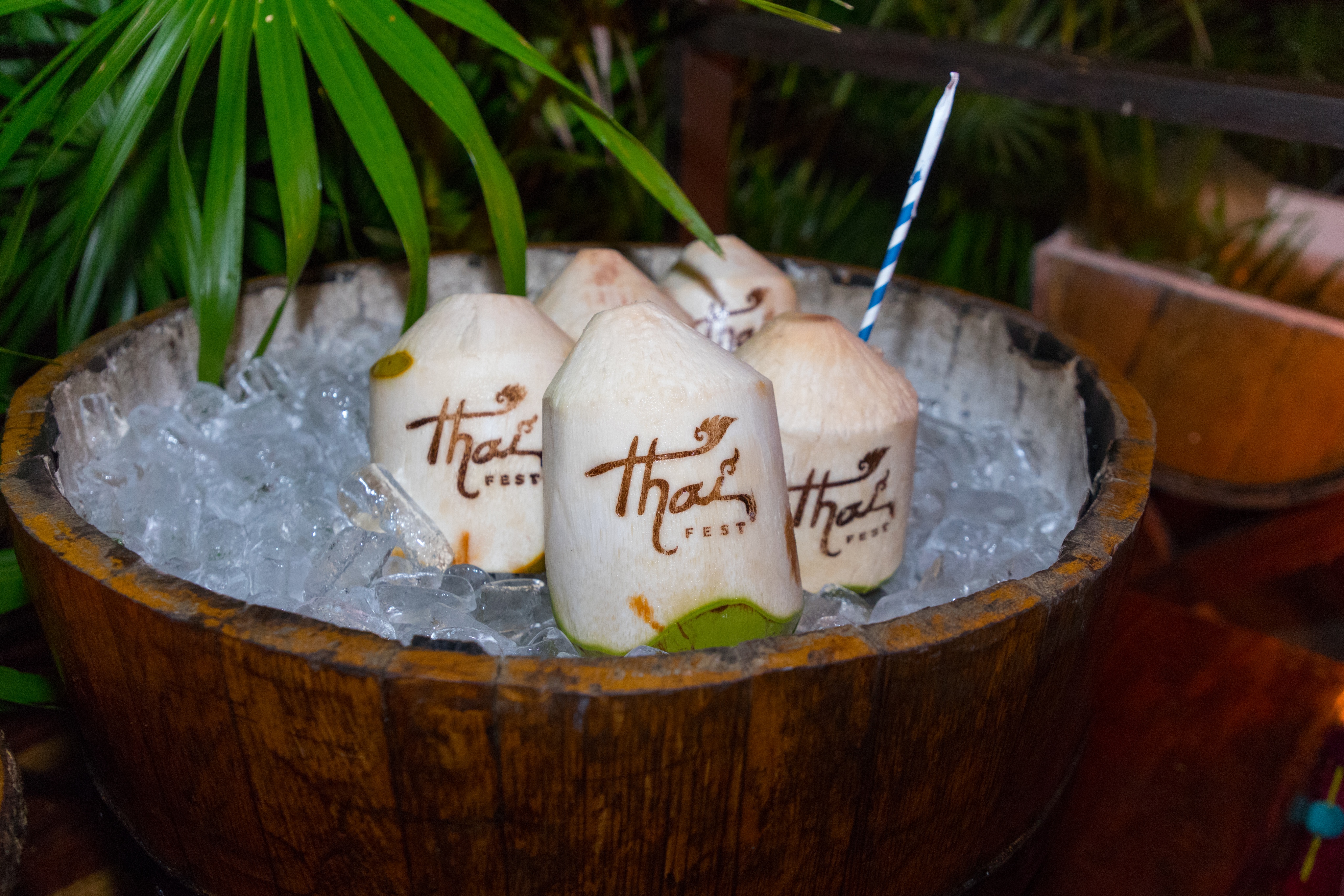 BTMXMY_THAI_FEST_COCONUTS