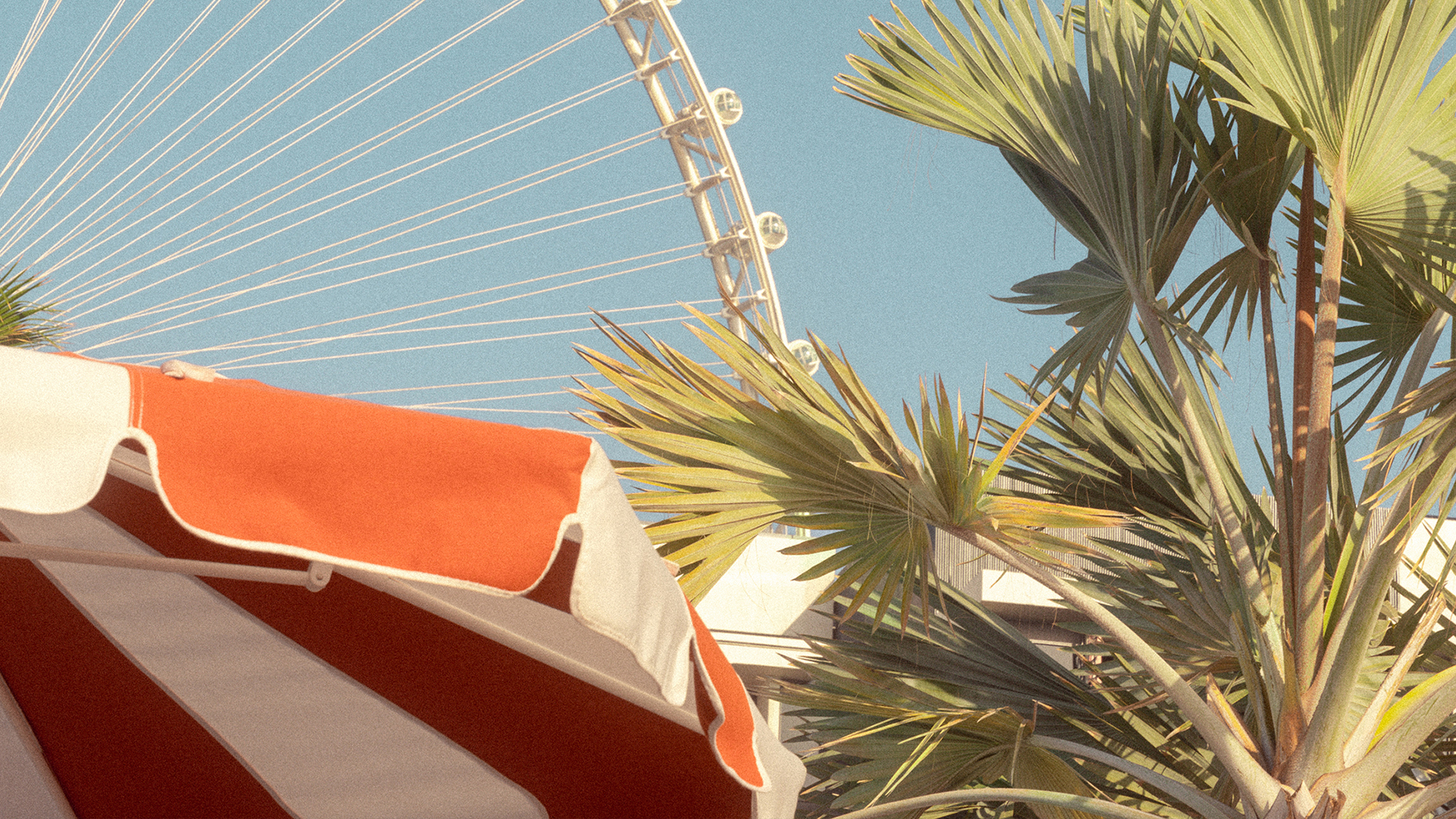 Close-up view of a red-and-white striped umbrella with a backdrop of tropical palm leaves and the Dubai Ain Ferris wheel against a clear blue sky, evoking a sunny, retro beachside ambiance.