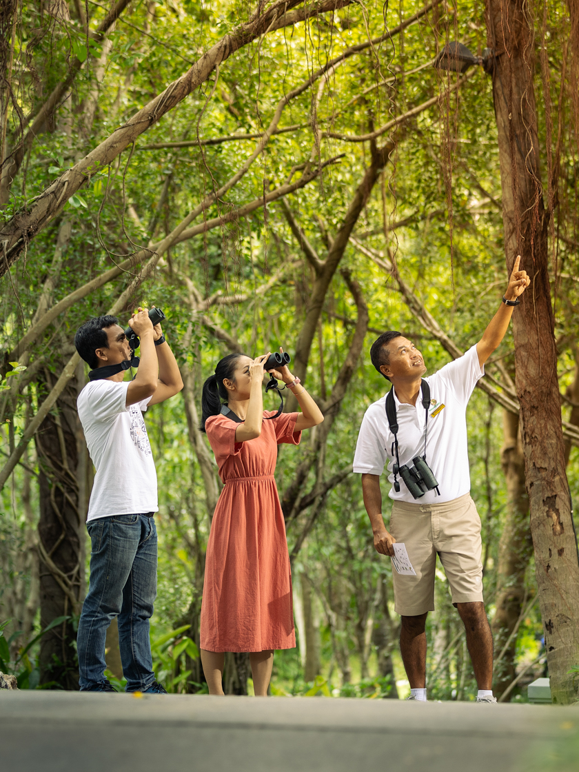 Banyan Tree Spa Samui