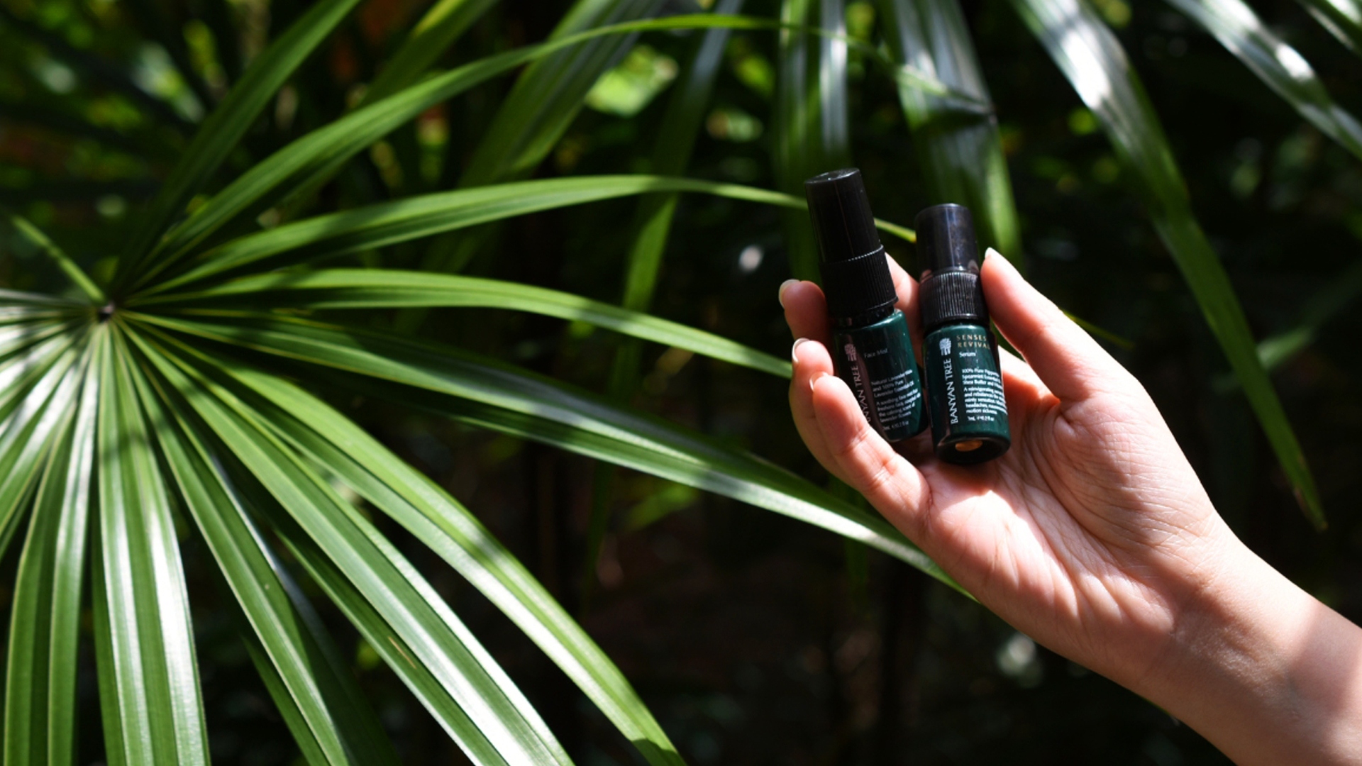 Banyan Tree Essentials