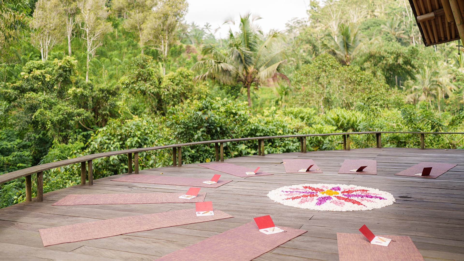 Retreats & Experiences