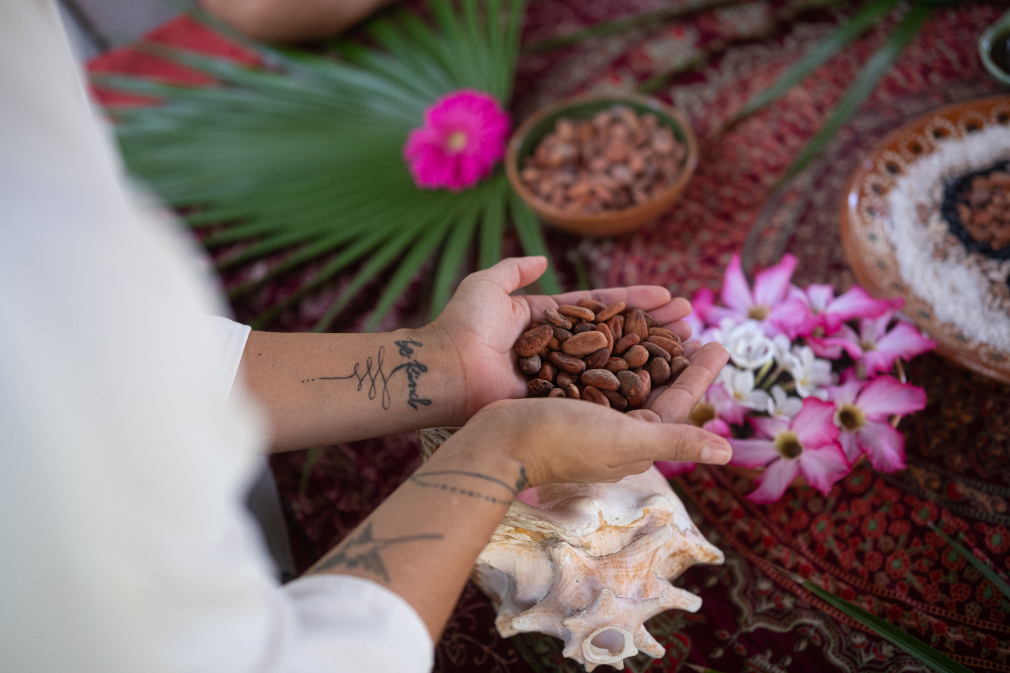 Name BTMXMY_BTCONNECTIONS_PROGRAMME_CACAO