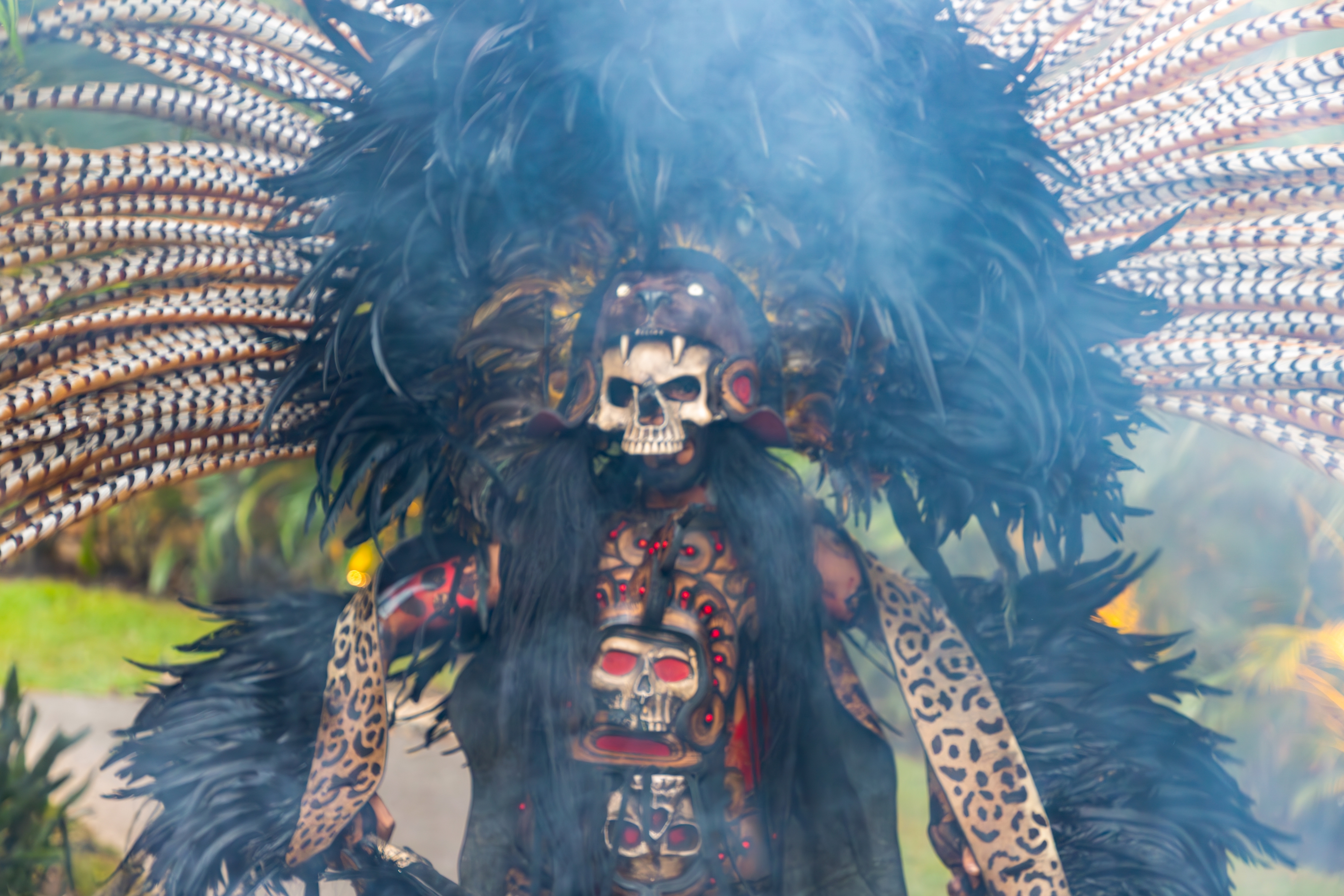 BTMXMY_HAAB_DANCER_2_low