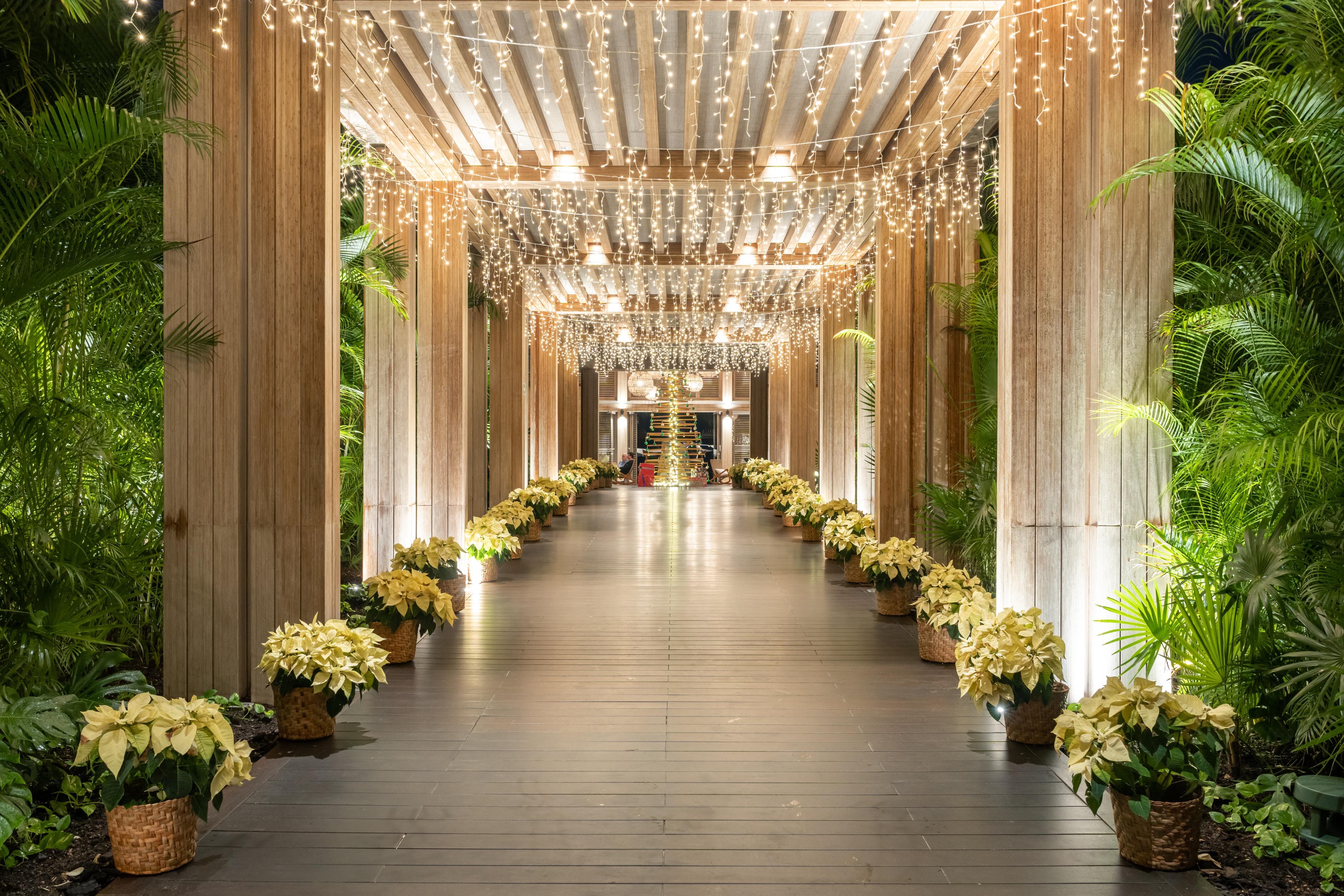 BTMXMY_SENSE_OF_CELEBRATION_NYE_2025_4_low