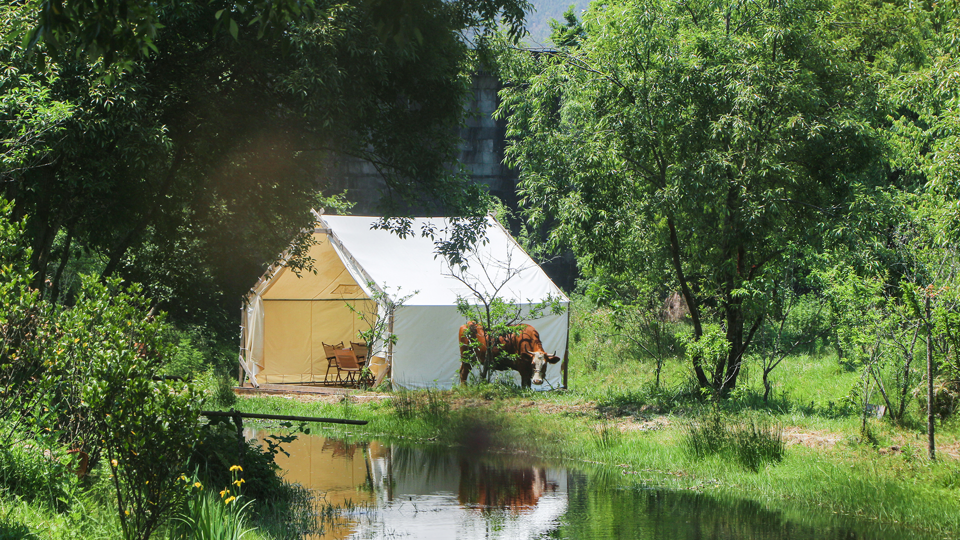 A Journey into Pastoral Serenity