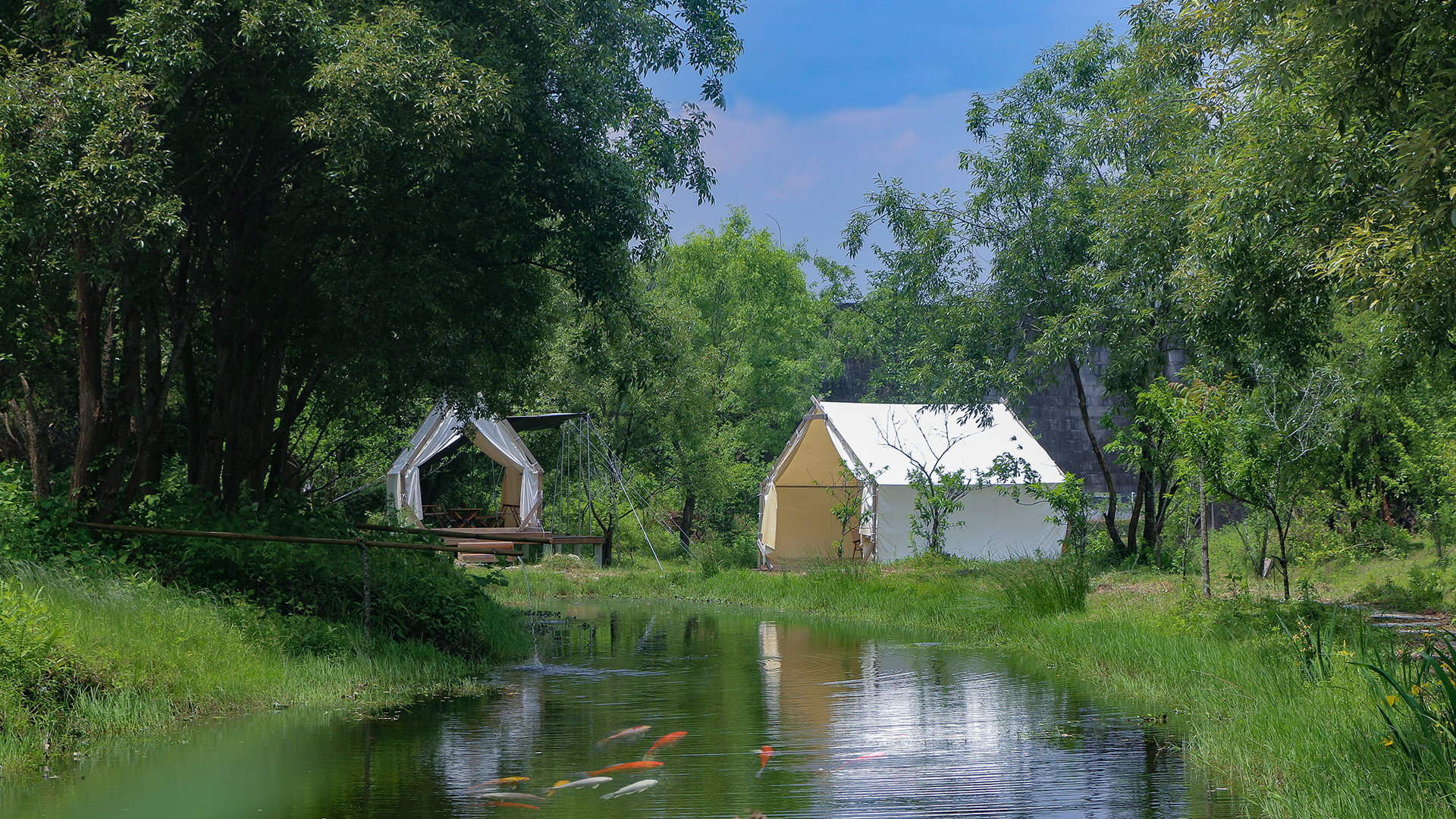 A Journey into Pastoral Serenity