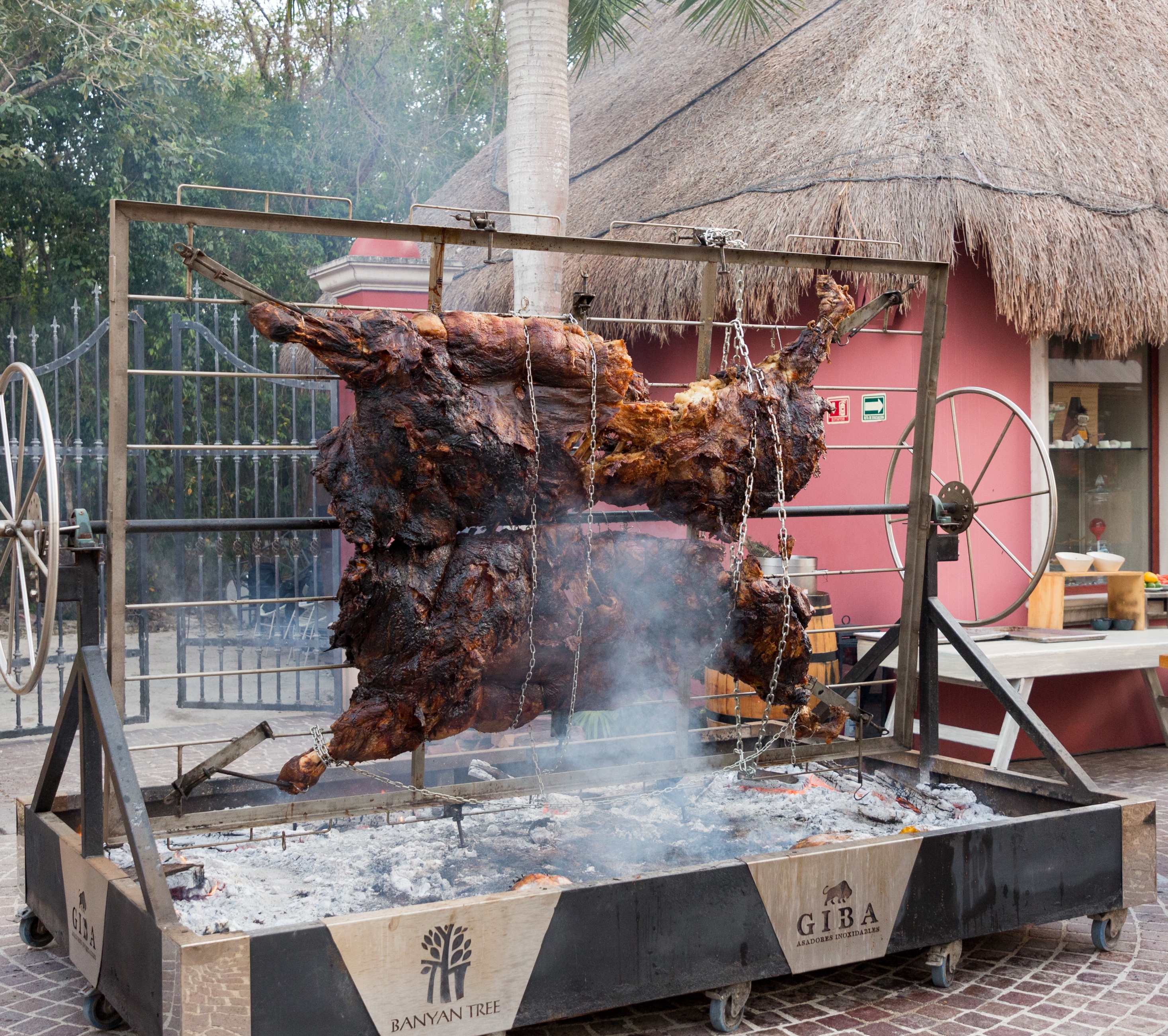 BTMXMY_A_CHANCE_TO_MEAT_COW