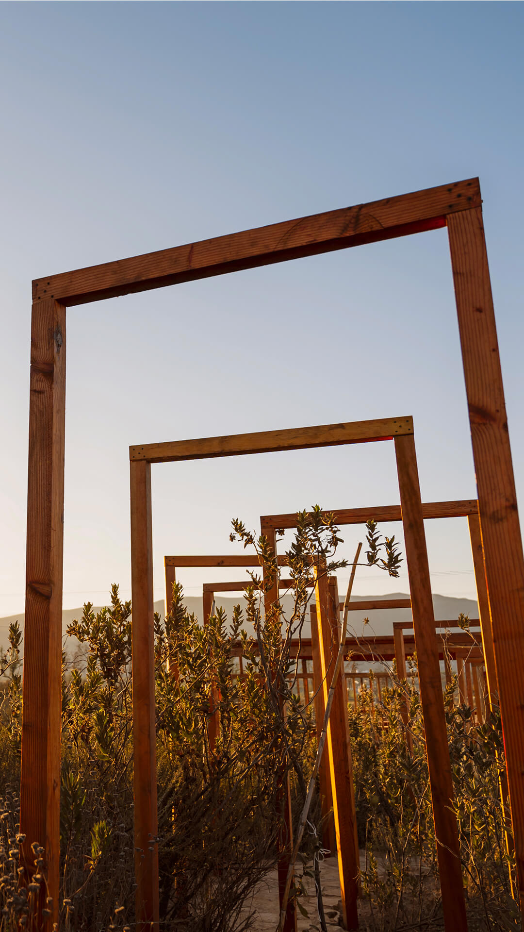 veyavg-home-botanical-garden