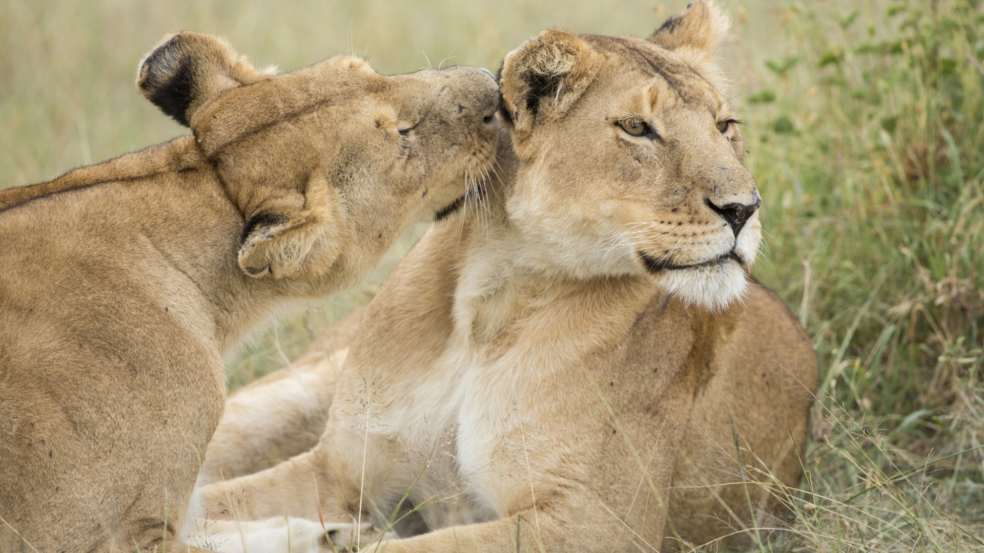 bte-ubuyu-2.jpg bte-ubuyu-2.jpg