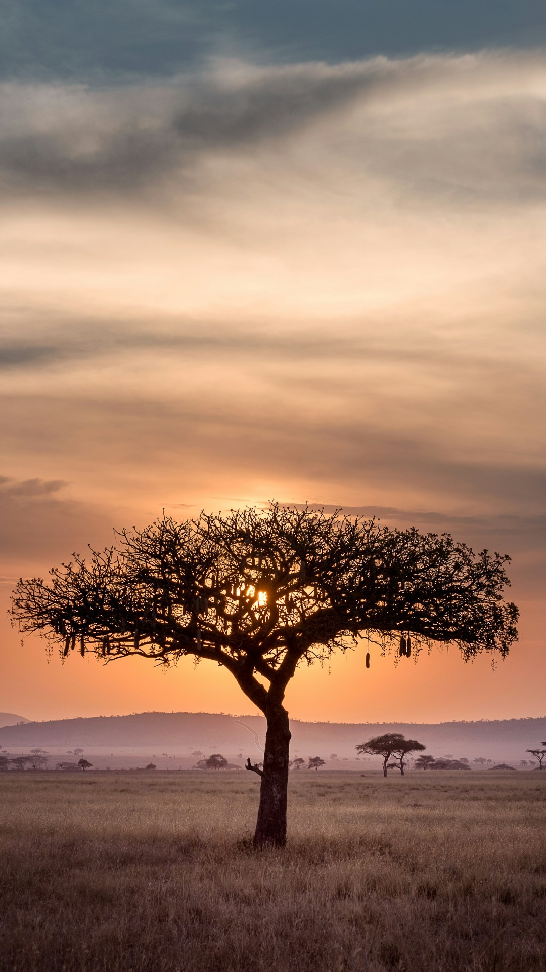 bte-ubuyu-ruaha.jpg bte-ubuyu-ruaha.jpg