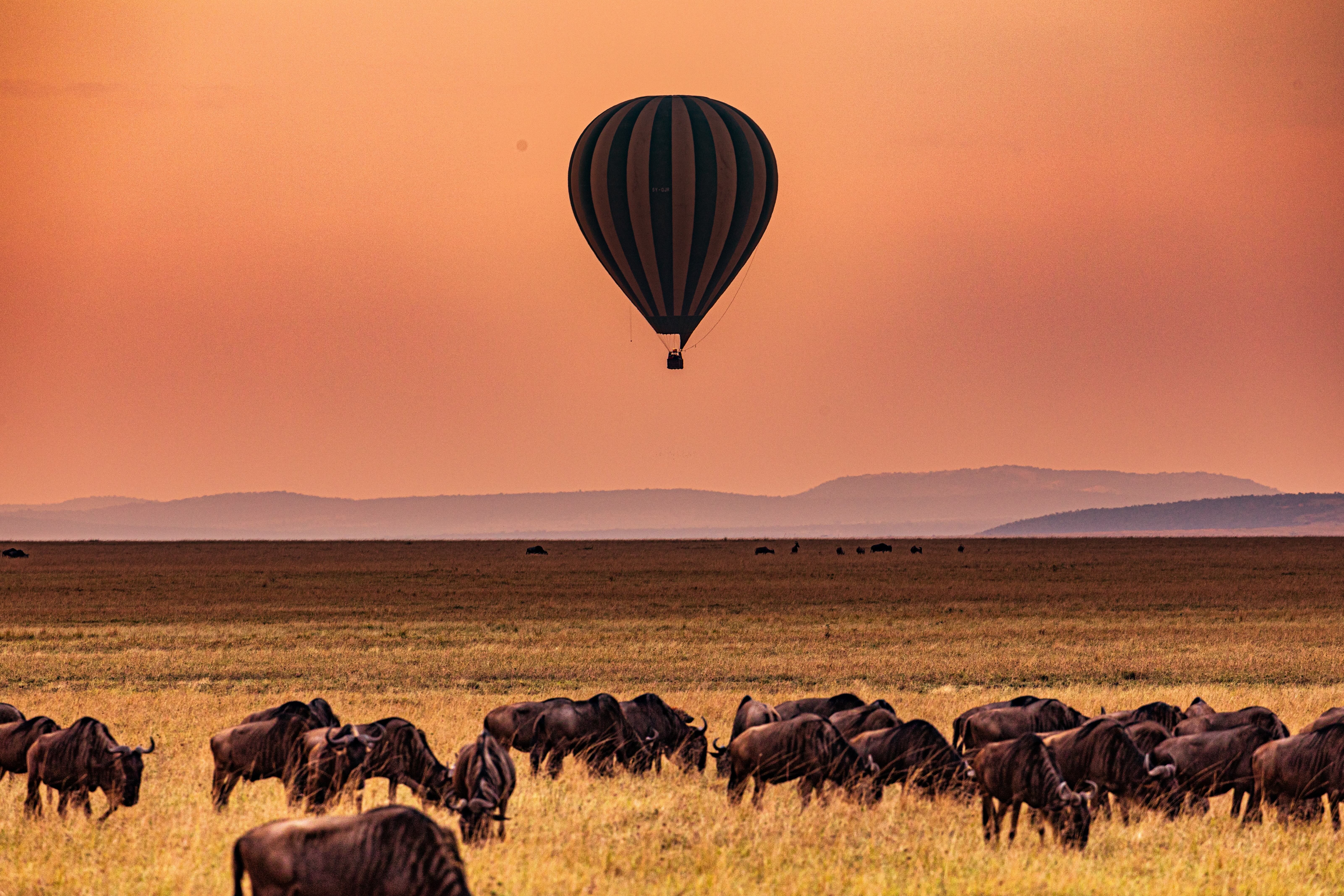 ubuyu-experiences-safari-balloon.jpeg