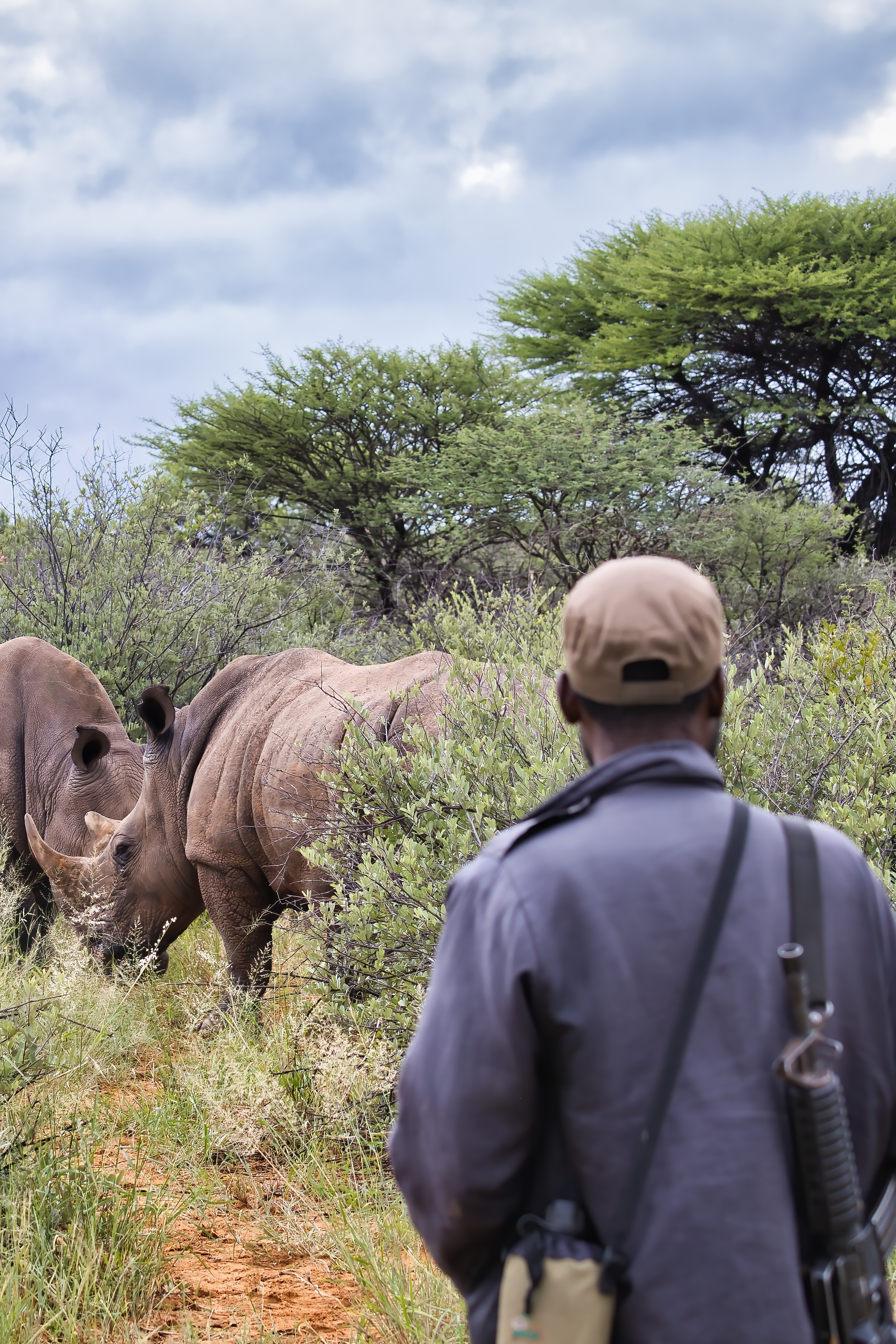 ubuyu-experiences-safari-rhino.jpeg