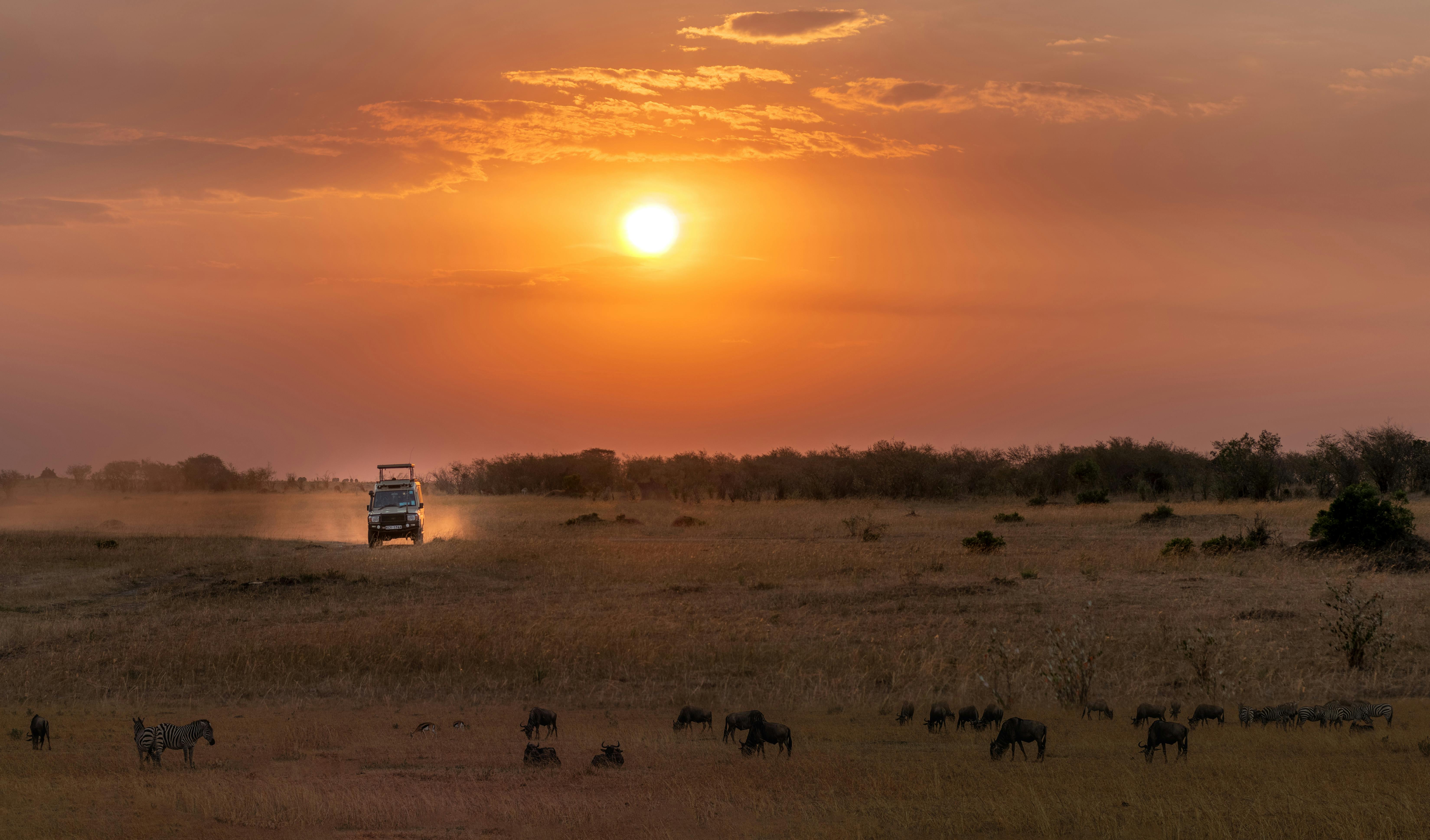 ubuyu-experiences-safari.jpg