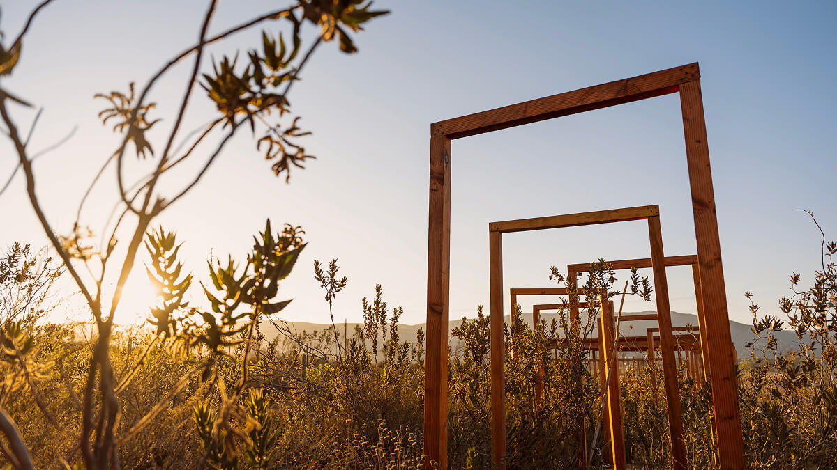 Banyan Tree Valle de Guadalupe