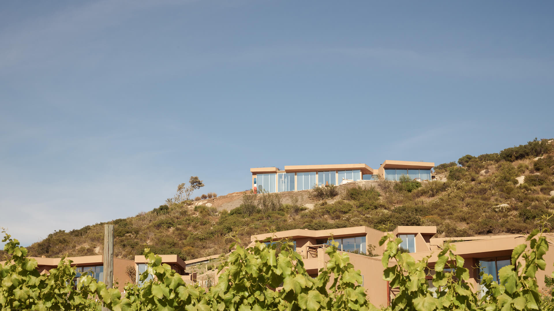 Banyan Tree Veya Valle de Guadalupe