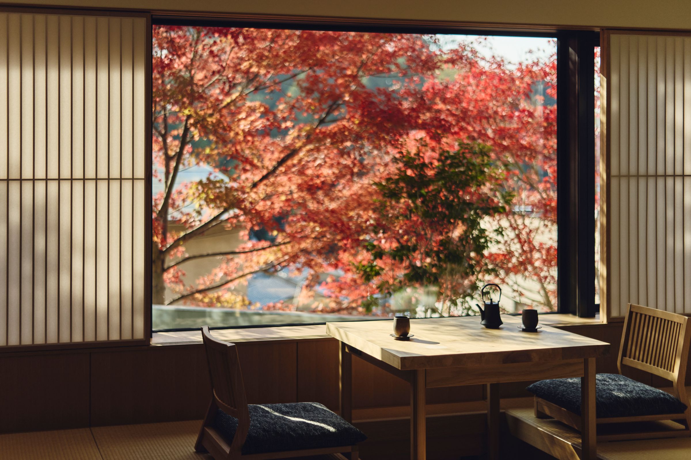 Autumnleaves_from_window_BTKyoto 