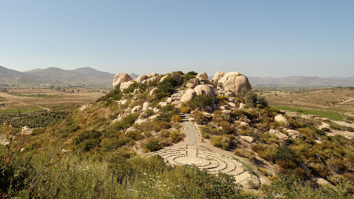 Banyan Tree Veya Valle de Guadalupe