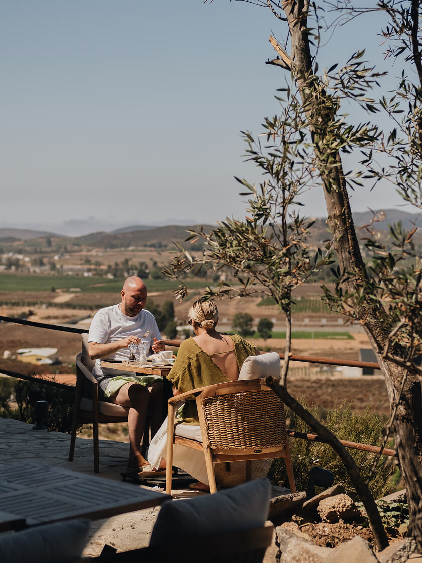 Banyan Tree Valle de Guadalupe
