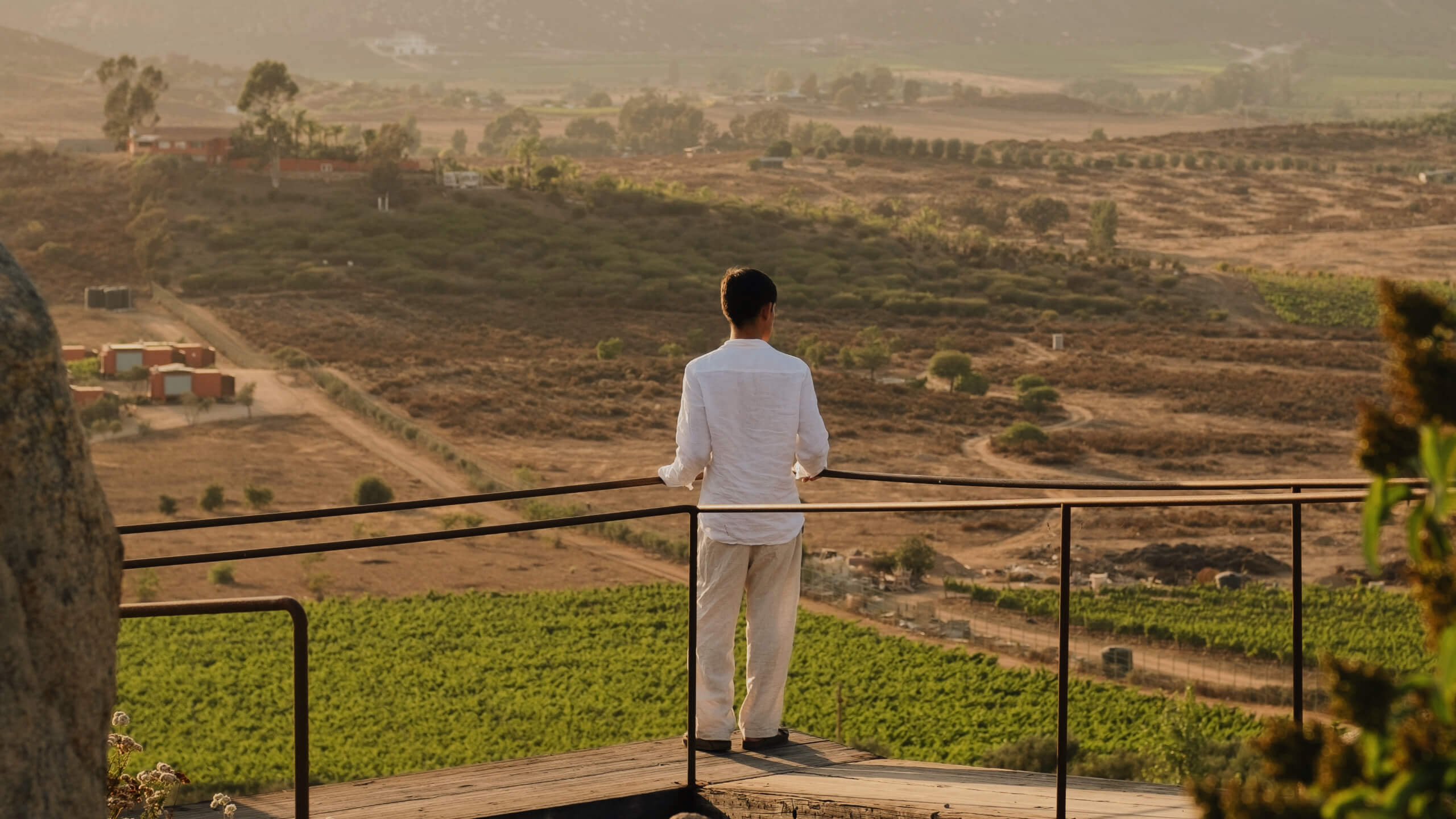 wellbeing offer banyan tree veya 