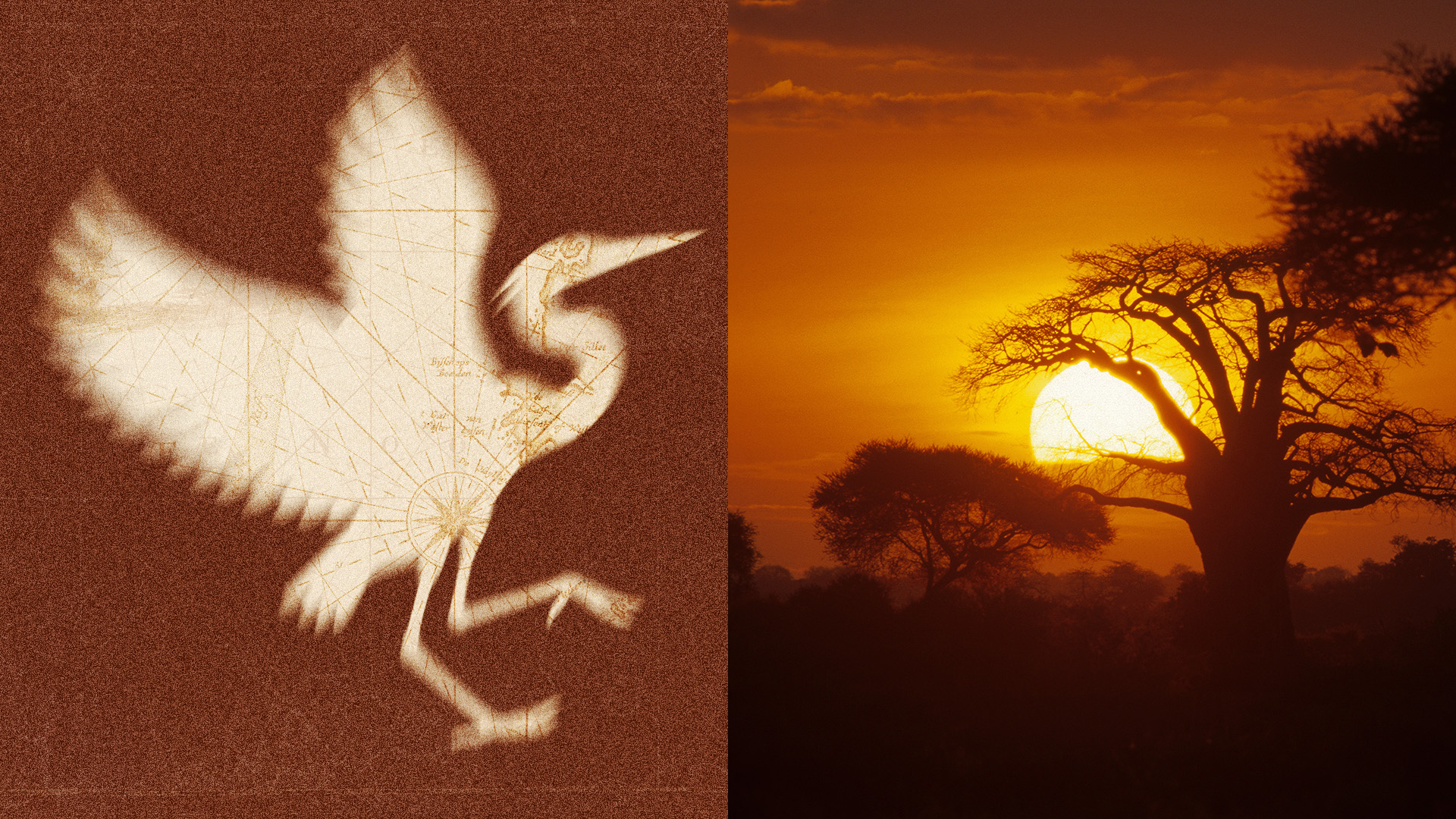 Tanzania sunset, Ubuyu, a Banyan Tree Escape
