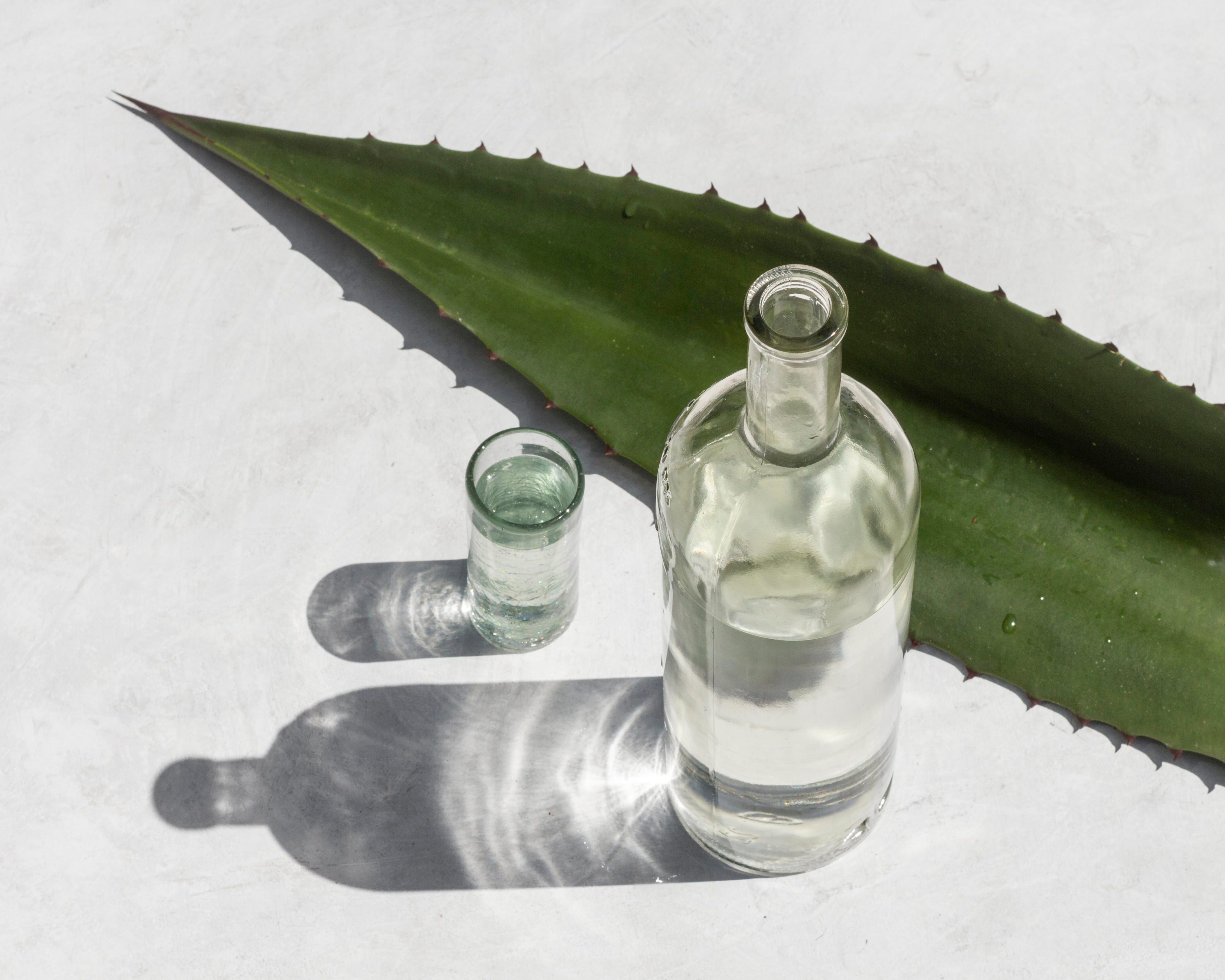 BTMXMY_MEZCAL_TASTING