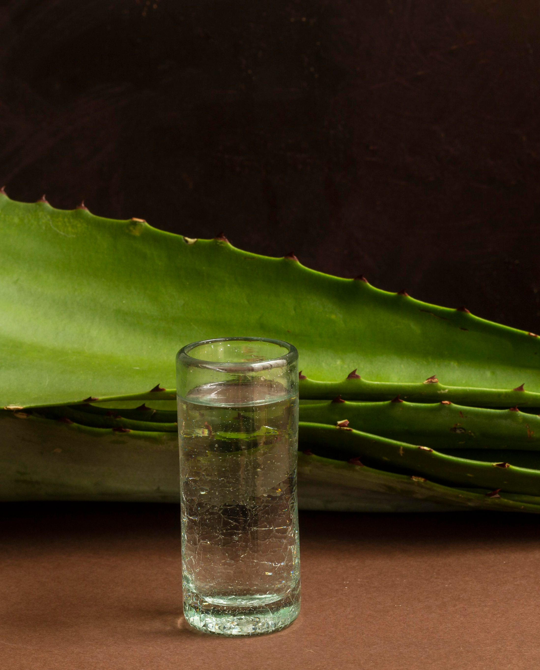 BTMXMY_TEQUILA_TASTING