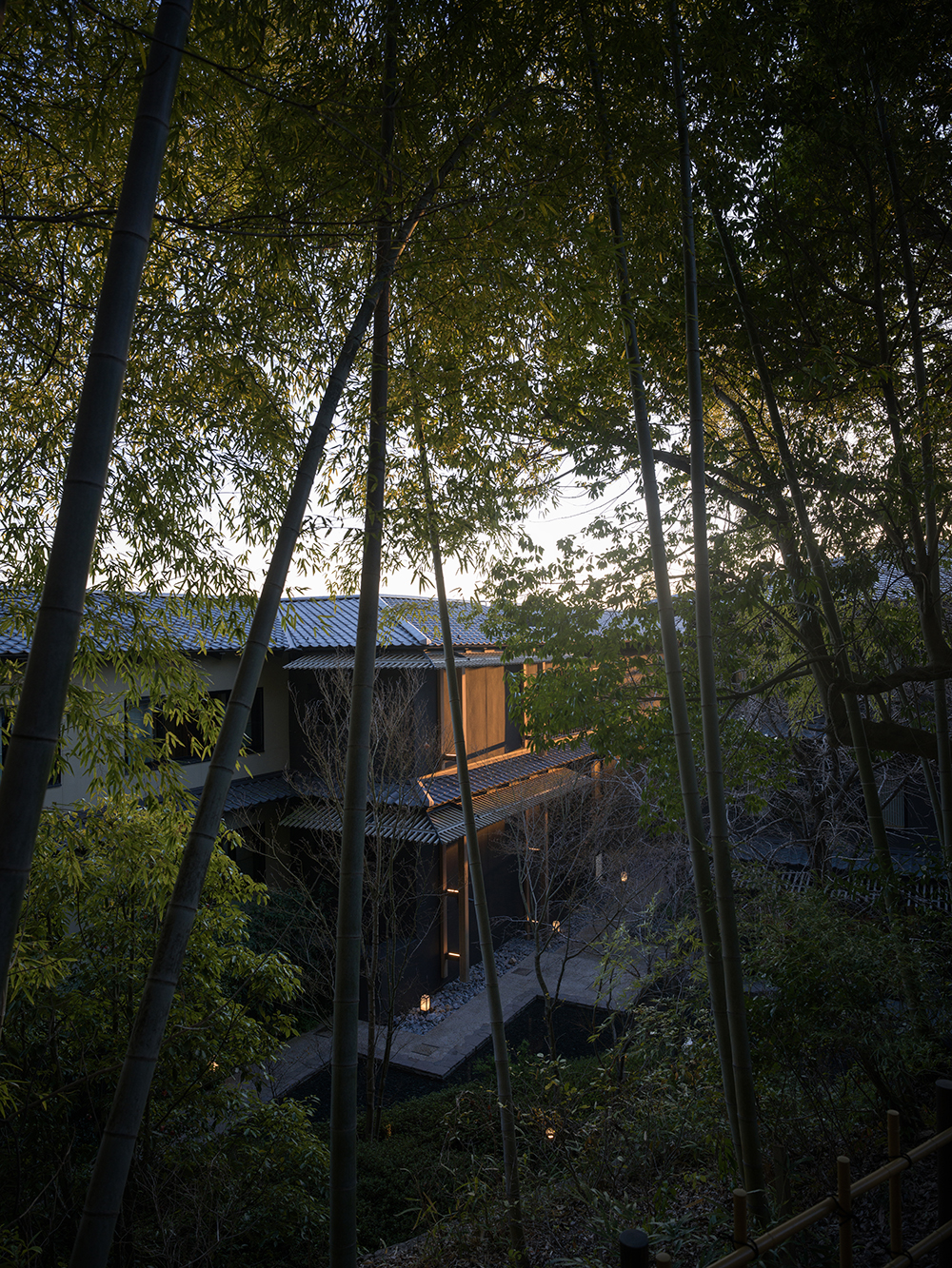 Kyoto Bamboo Garden