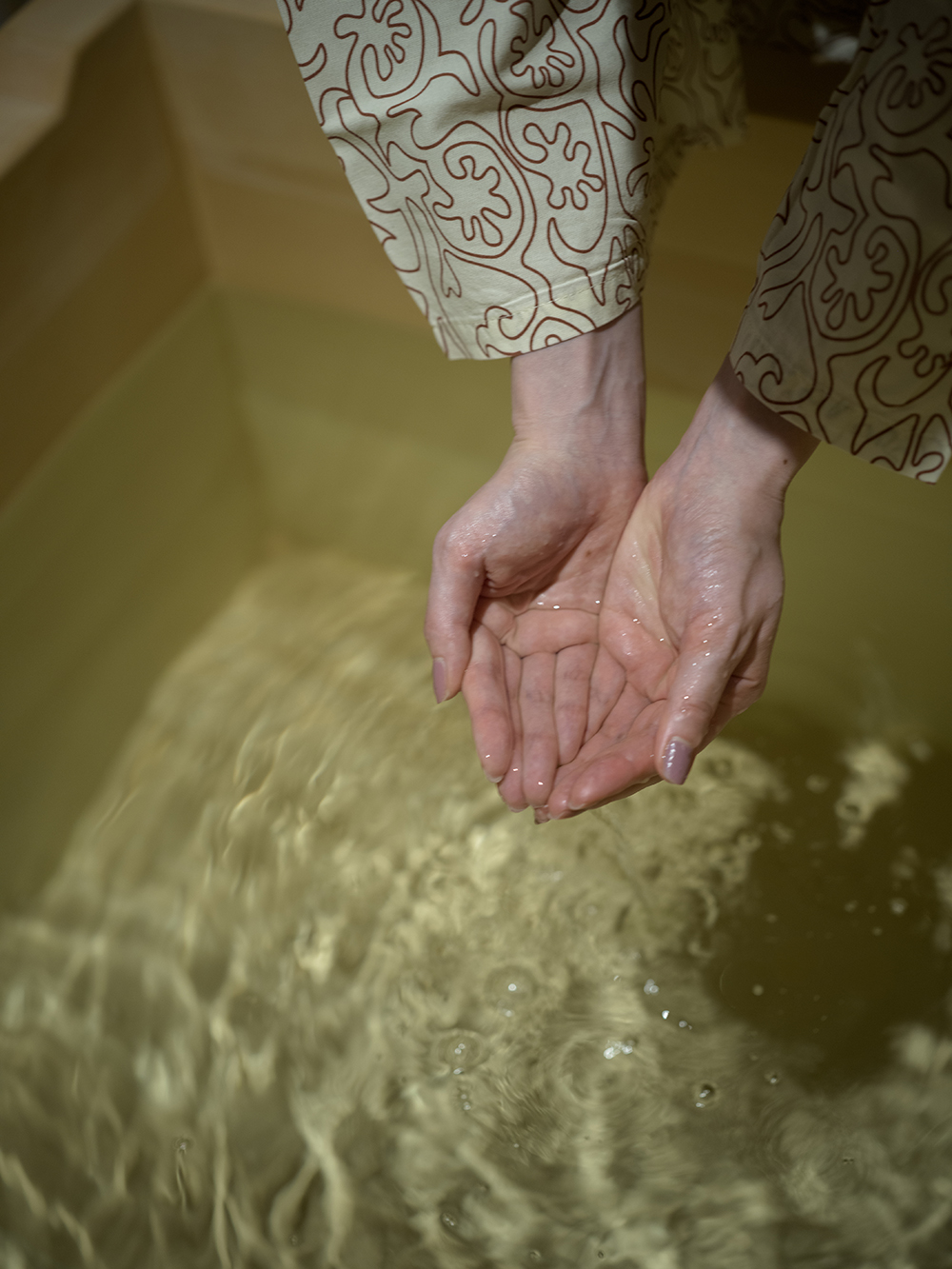 Kyoto Onsen Hiba Bath
