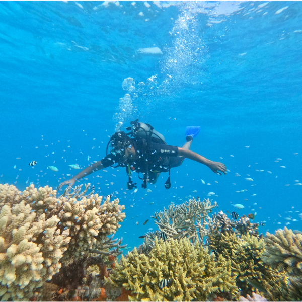 Diving