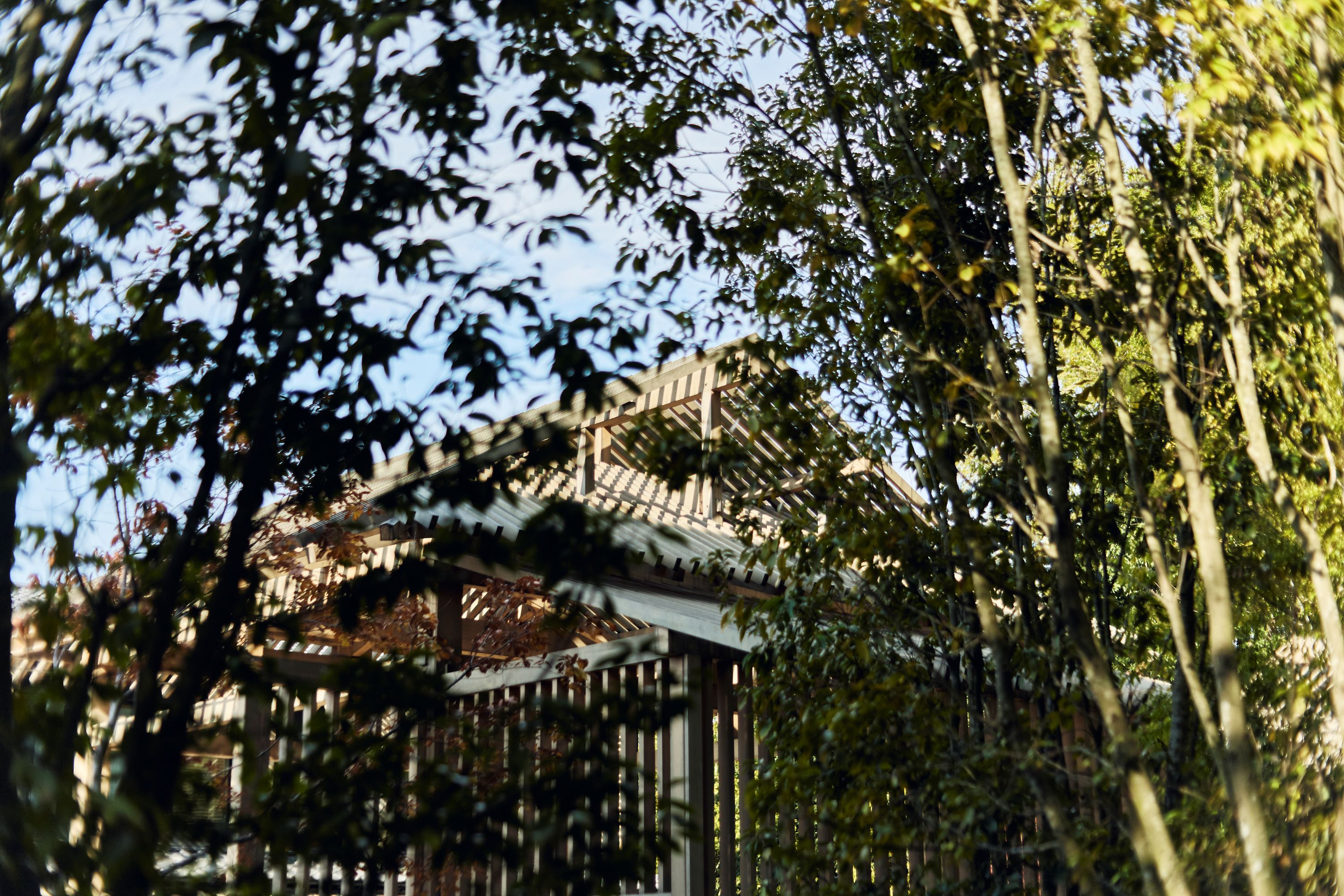 Bamboo Pavilion