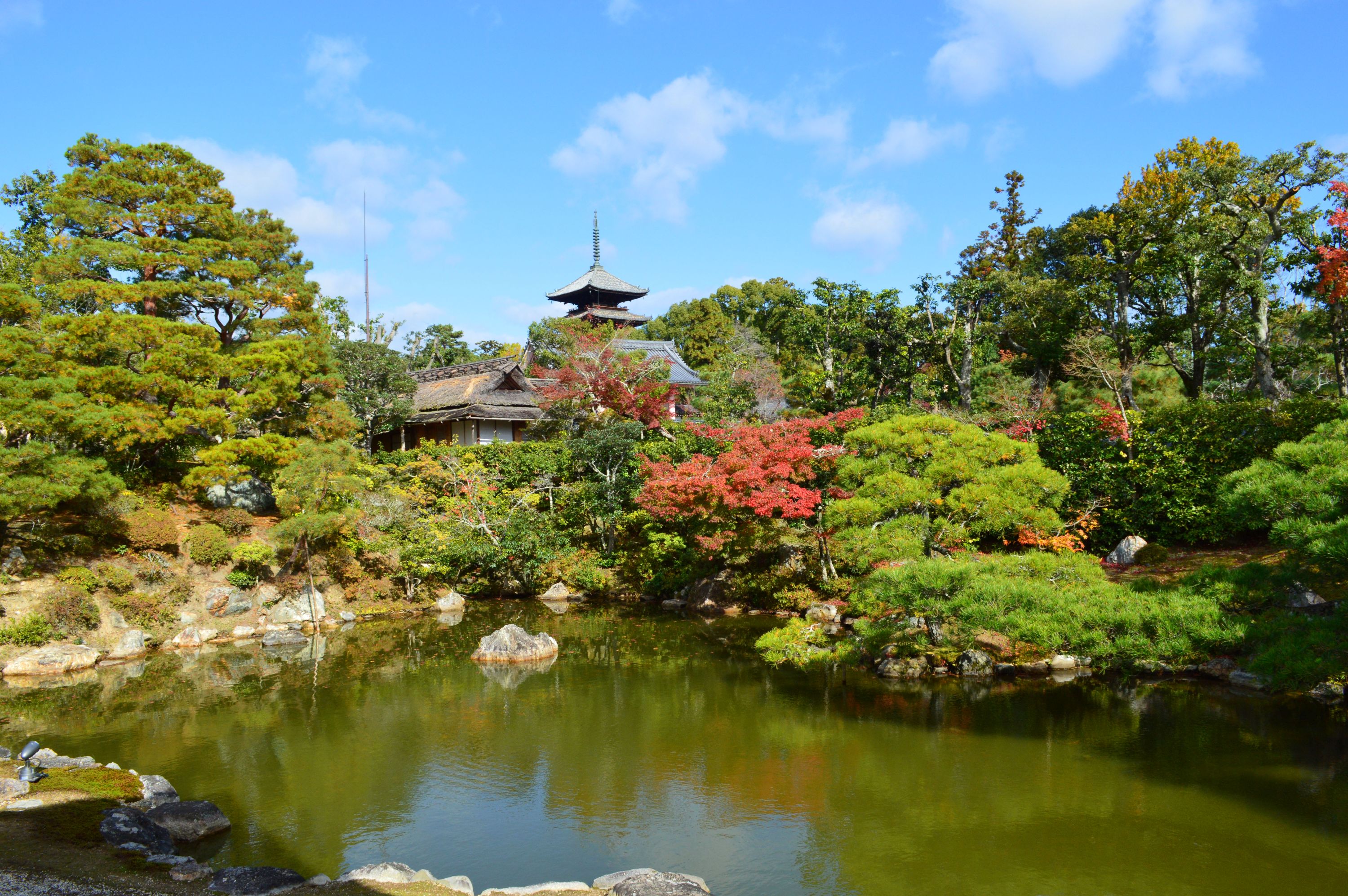Ninnaji Temple Kyoto