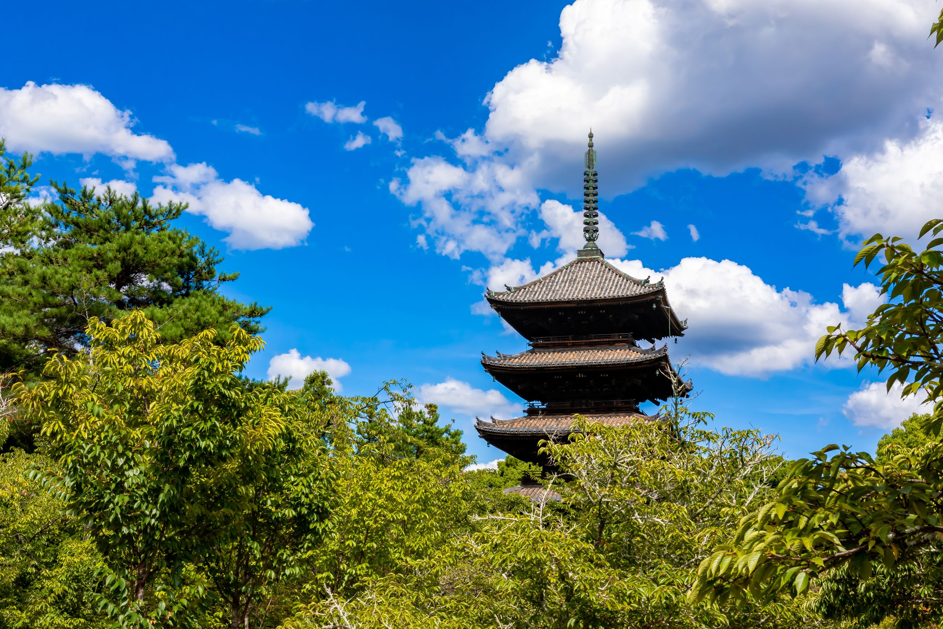 Ninnaji Temple Kyoto