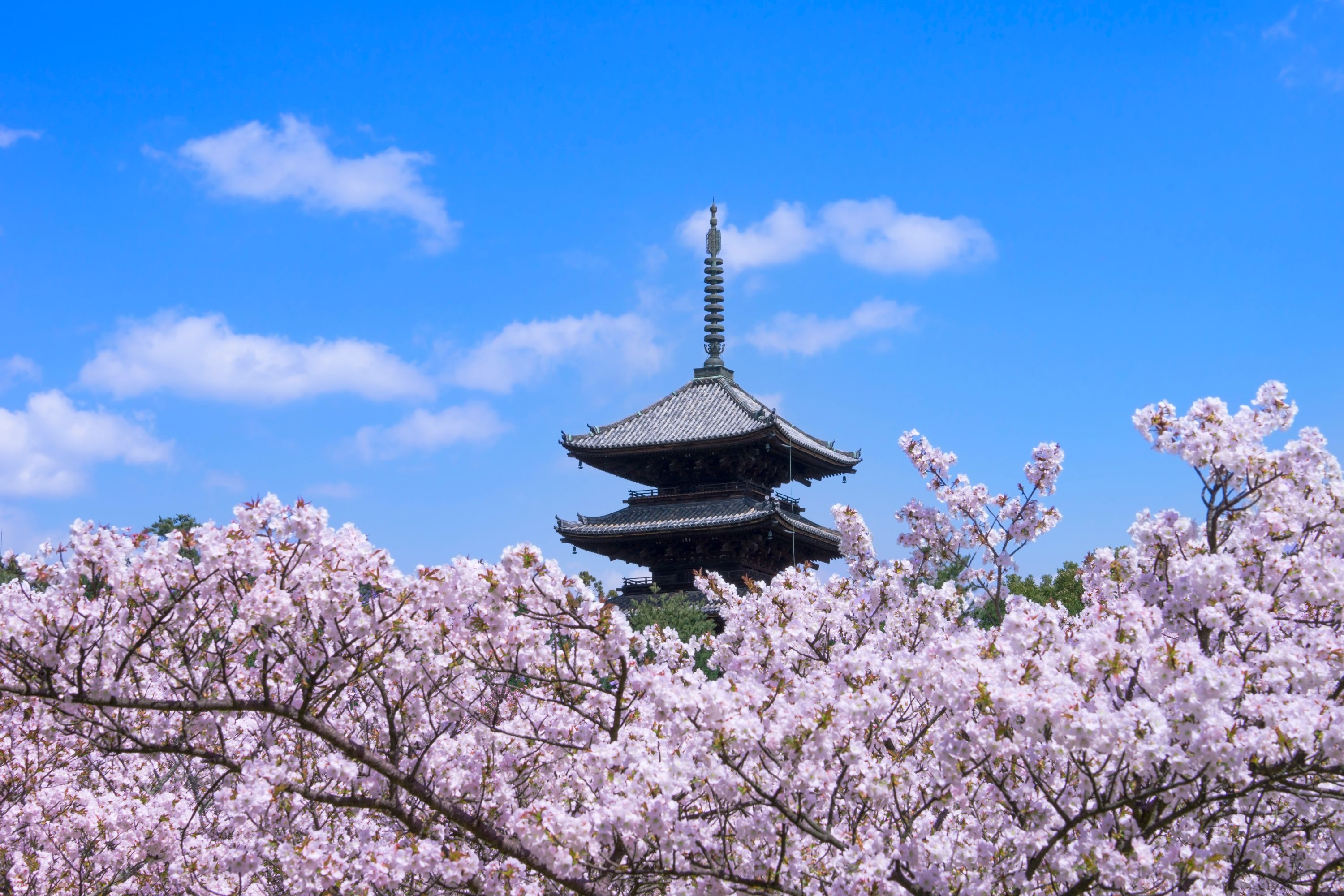 Ninnaji Temple Kyoto