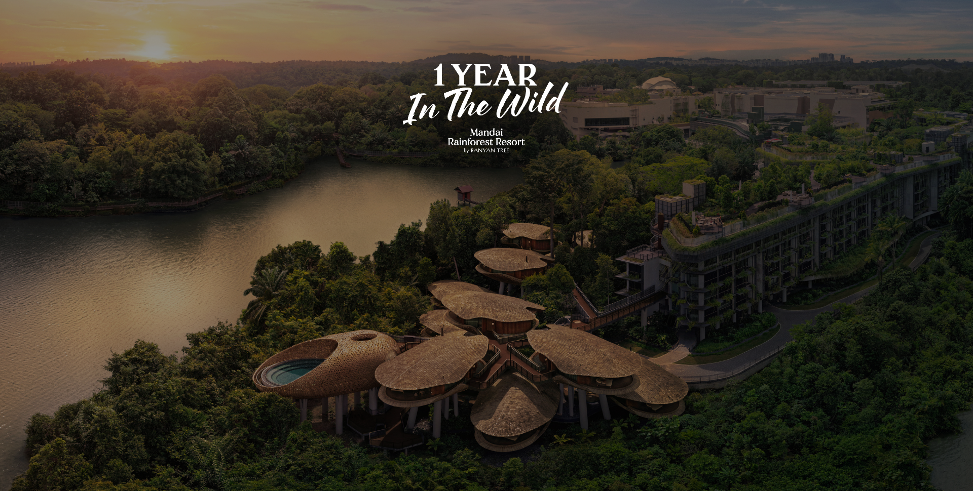 one-year-in-the-wild-mrr-mandairainforest_4.png one-year-in-the-wild-mrr-mandairainforest_4.png