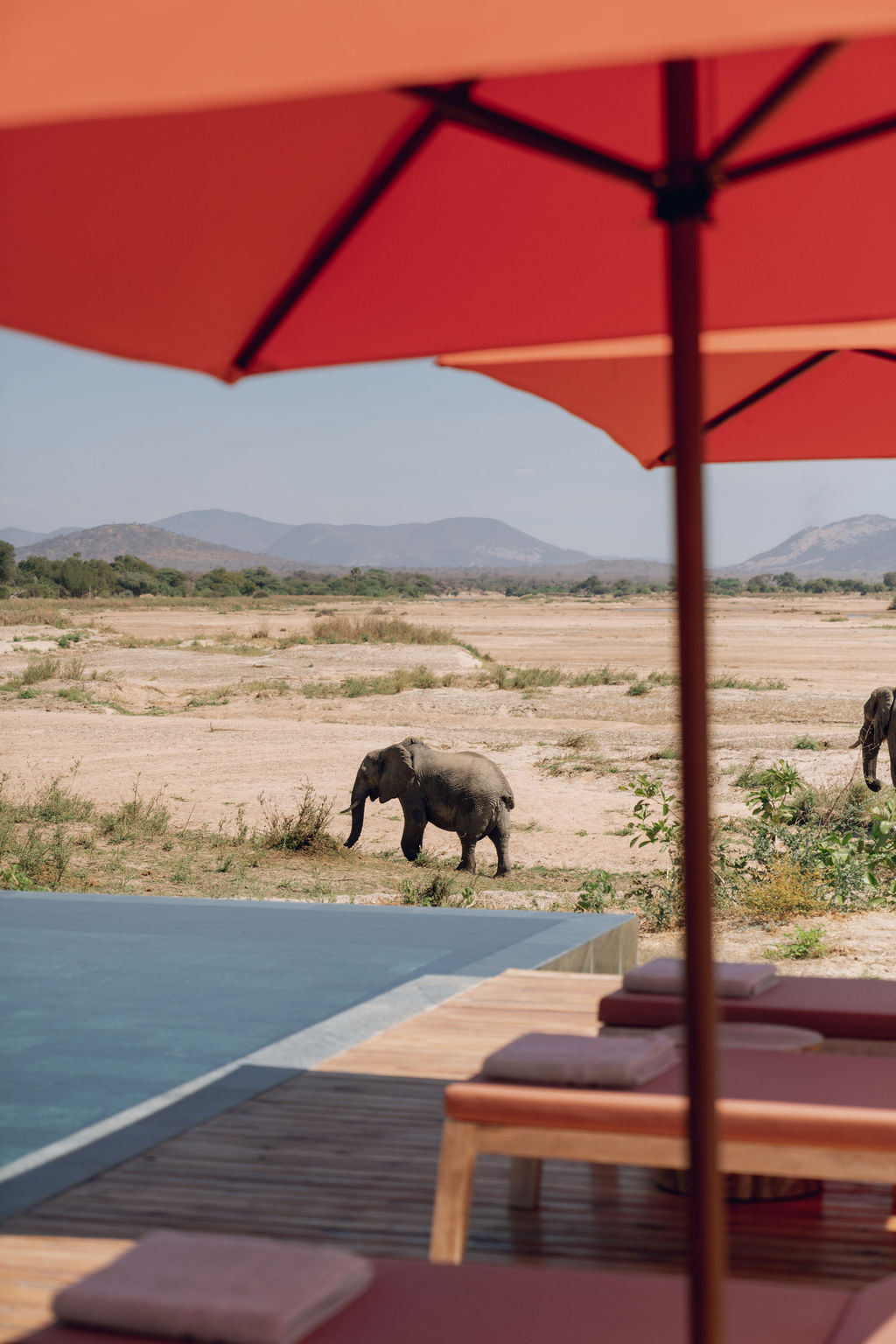 Ubuyu, A Banyan Tree Escape Ruaha National Park