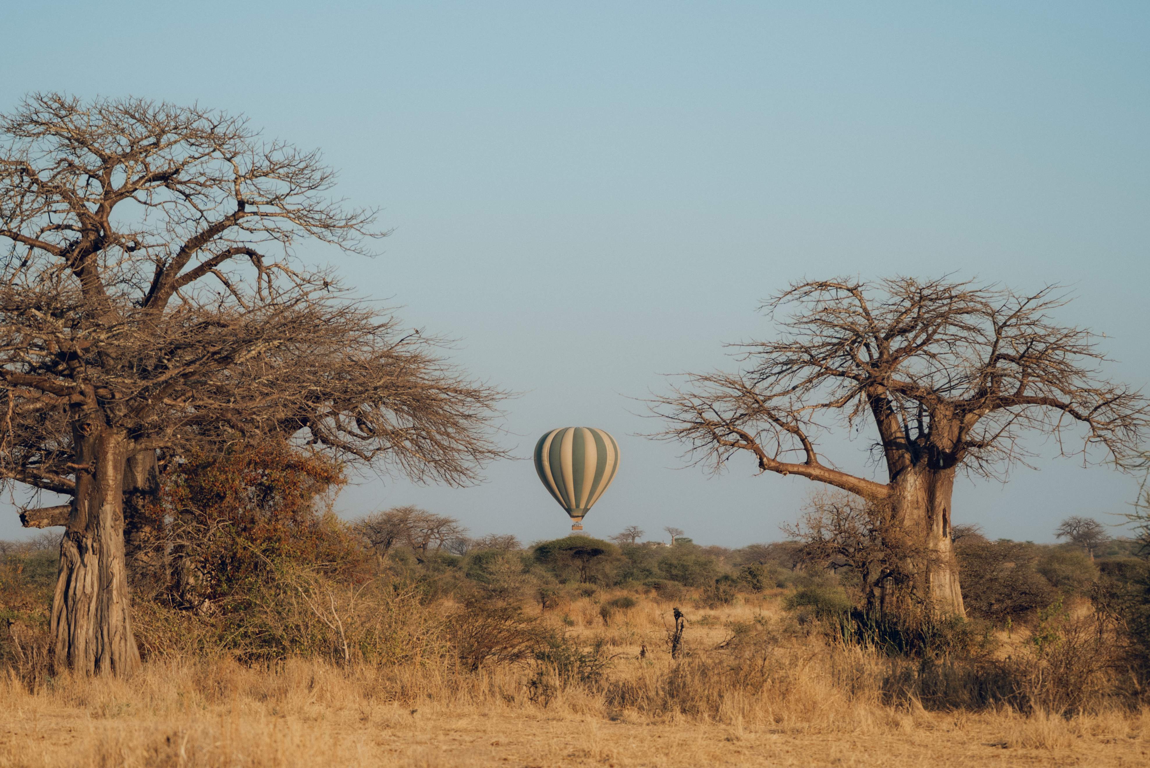 Ubuyu, A Banyan Tree Escape Hot Air Balloon